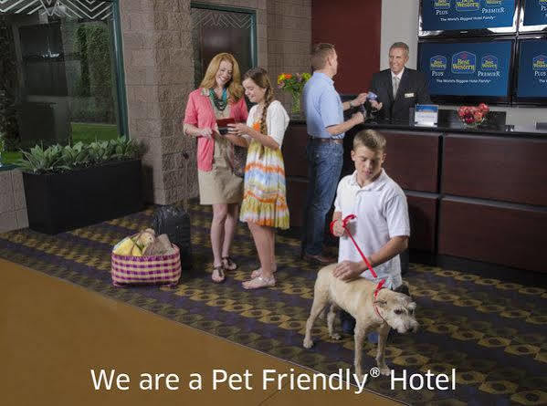 Hotel Surestay By Western